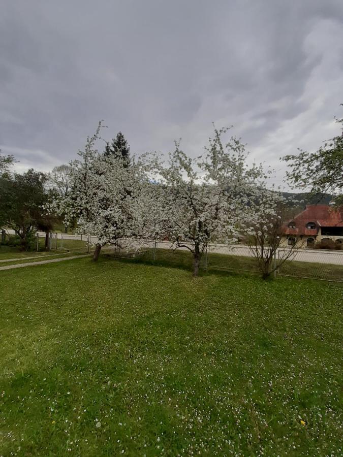 Apartman Djokovic Мокра Гора Екстер'єр фото