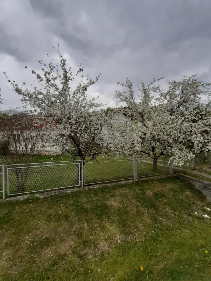 Apartman Djokovic Мокра Гора Екстер'єр фото
